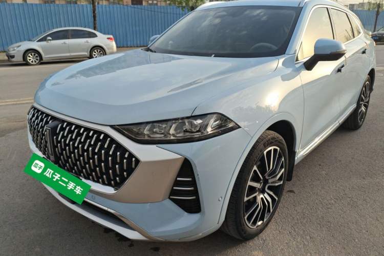 Used Wey Mocha 2021 2.0T Two-Wheel-Drive Premium Edition