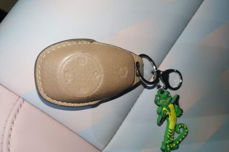 Used Leapmotor T03 2023 310 Lite Edition Vehicle Key