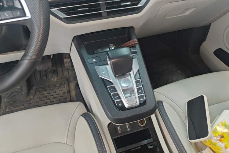 Used BYD Yuan Pro 2021 "Love for a Lifetime" Edition