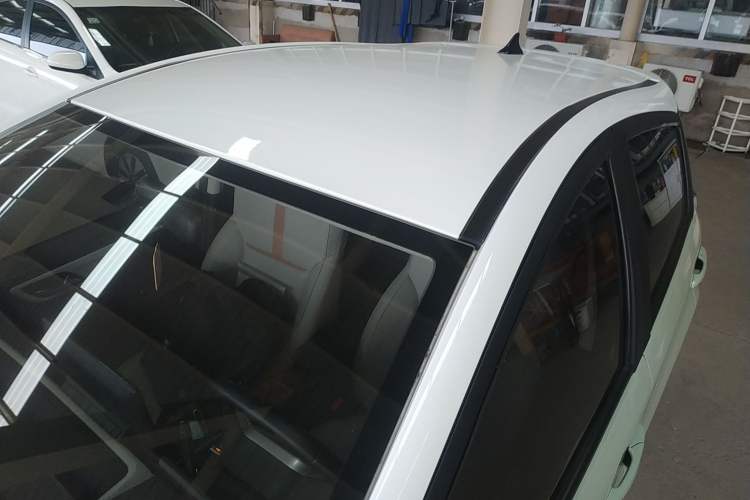 Used SOL E10X 2022 Flower Fairy Style Baby's Breath
