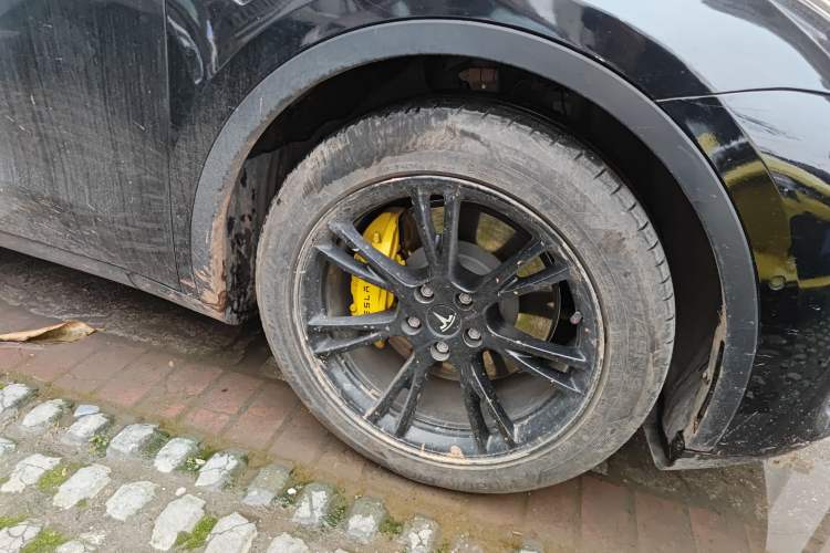 Used Tesla Model Y 2021 Standard Range Rear-Wheel Drive Version