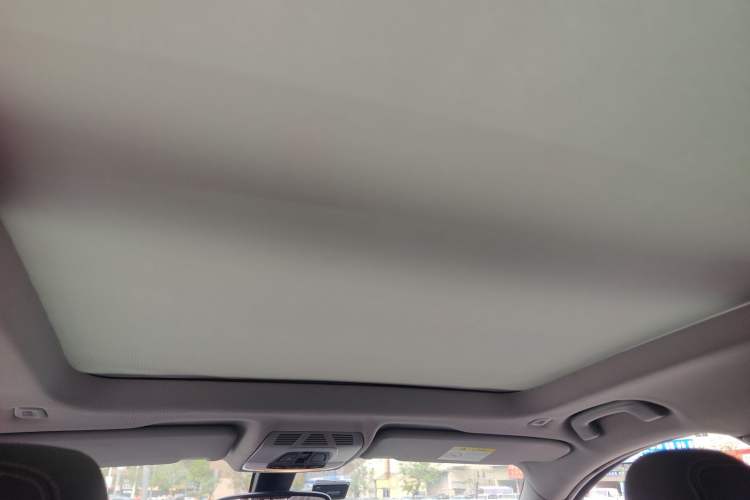 Used BMW X1 2016 sDrive20Li Luxury Model Headliner