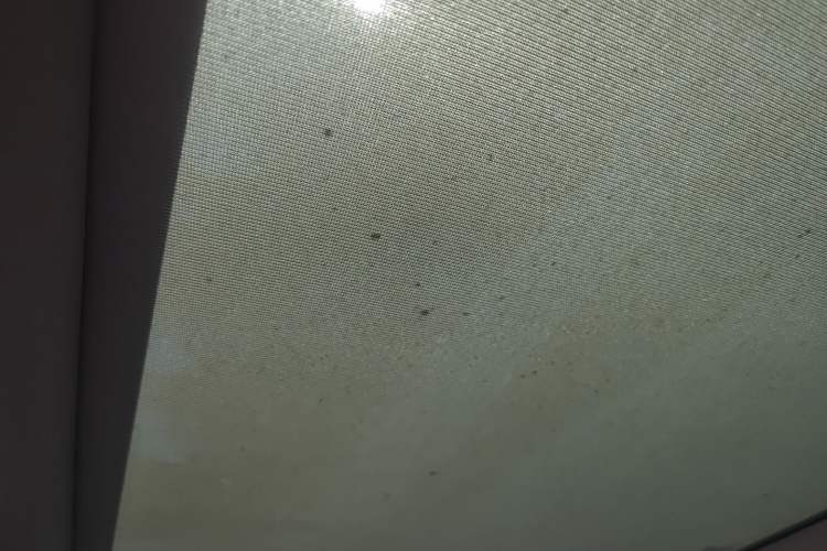 Used Rising ER6 2020 620 km Smart Edition
