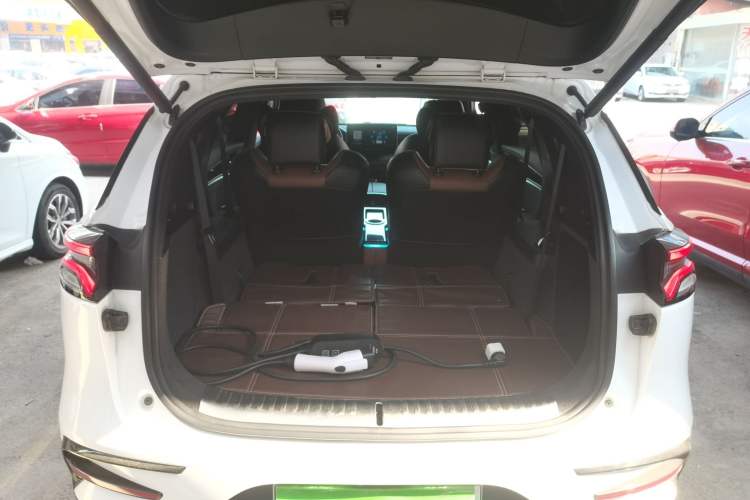 Used BYD Tang New Energy 2021 DM 2.0T Four-Wheel Drive High-Performance Luxury Model
