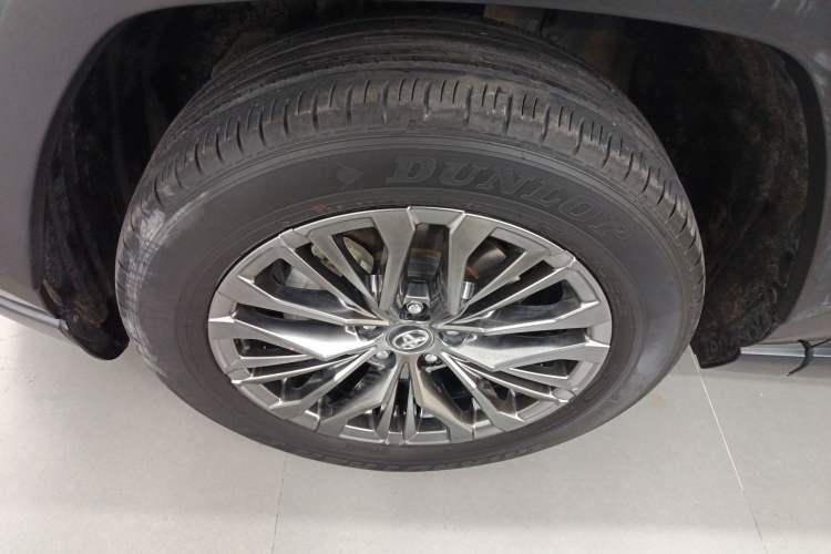 Used Toyota Wildlander 2023 Dual-Motor 2.5L E-CVT Four-Wheel Drive Prestige Edition Exterior 4