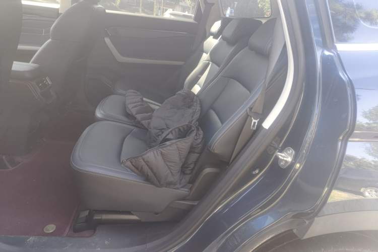 Used Livan Livan 9 2023 470 km Leading Edition