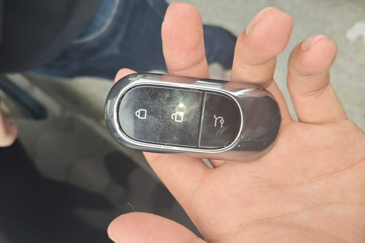 Used Leapmotor C11 2023 Pure Electric 500 Smart Edition