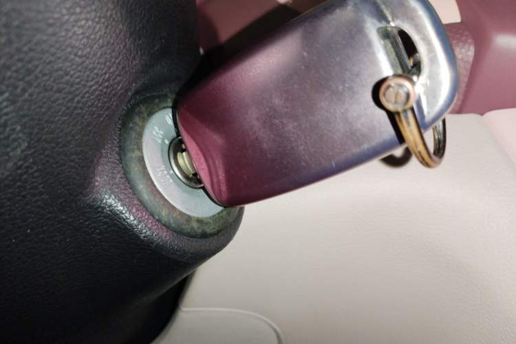 Used Oshan Benni E-Star 2021 National Edition Colorful Version Lithium Iron Phosphate (31.95 kWh)