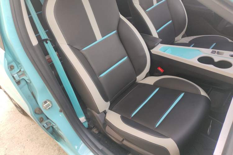 Used SOL E10X 2022 Flower Fairy Design Four-Leaf Clover