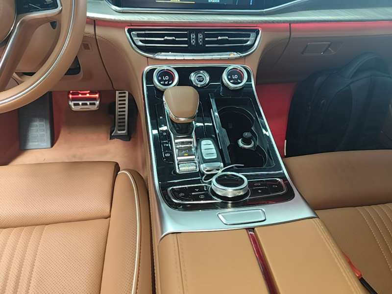 Used Hongqi H9 2020 Revised Version 2.0T Smart Connect Flagship Edition — 13
