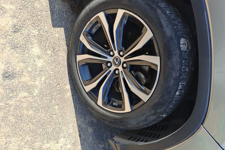 Used Lexus RX 2020 300 4x4 Elegant Edition China VI