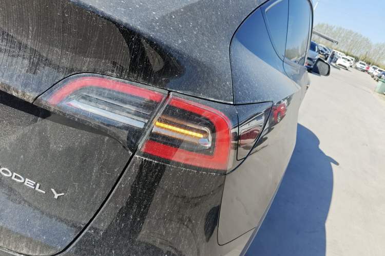 Used Tesla Model Y 2022 Rear-Wheel-Drive Version