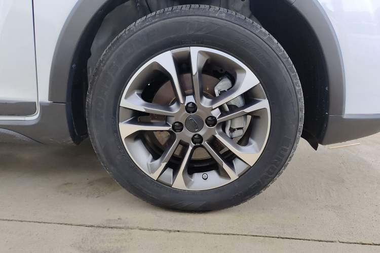 Used Geometry EX3 Kung Fu Cow 2021 Tough Bull Cow