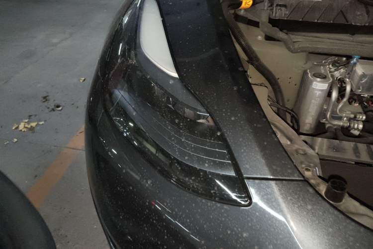 Used Tesla Model Y 2024 Rear-Wheel-Drive Version
