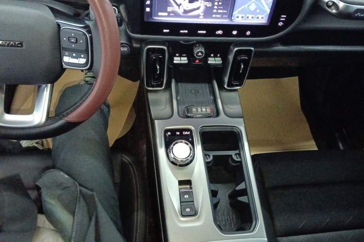 Used Haval DARGO 2024 2.0T DCT Chinese Rural Dog Edition
