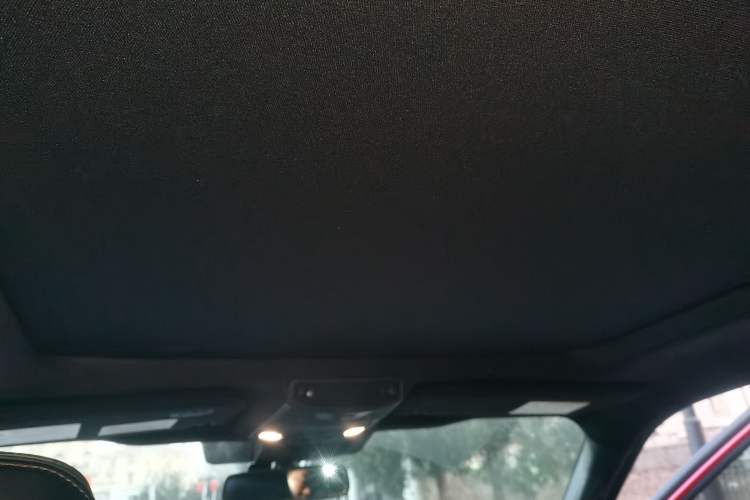 Used Ford F-150 Raptor 2019 3.5T Raptor Performance Edition Headliner