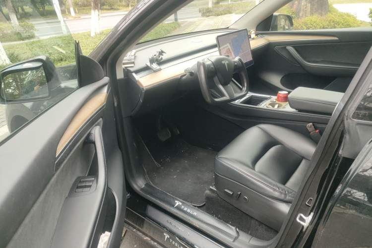 Used Tesla Model Y 2021 Standard Range Rear-Wheel Drive Version