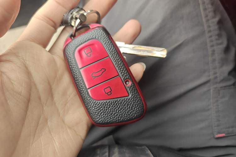 Used Chery Little Ant 2022 Sweet Pink Edition Half-Sugar Version Lithium Iron Phosphate 30 kW 301 km