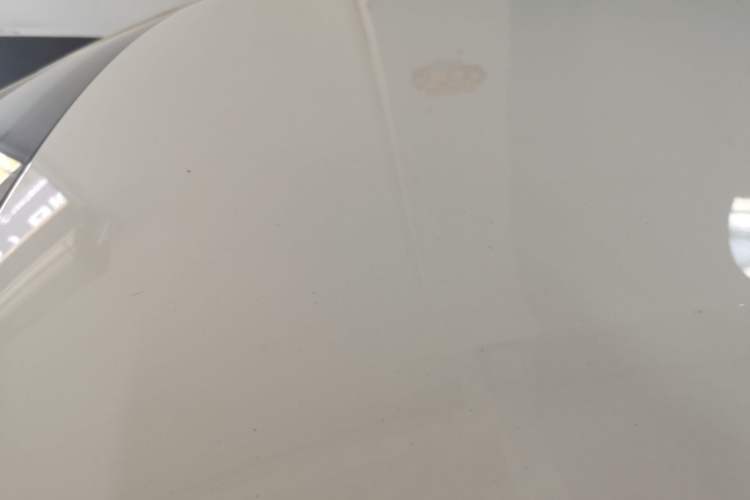 Used BYD Seagull 2023 Flying Edition
