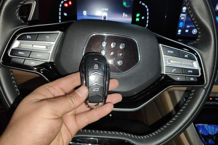 Used Landian E5 2023 1.5L DE-i 110KM Flagship 7-Seater