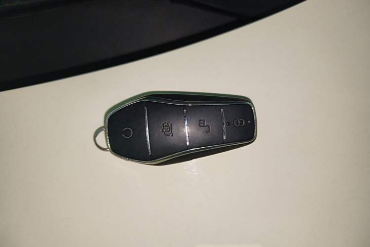 Used BYD Dolphin 2023 420 km Fashion Edition Vehicle Key