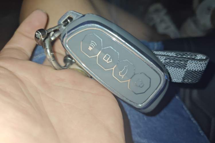 Used Haval H5 2023 2.0T Automatic All-Wheel Drive LinkedIn Gasoline