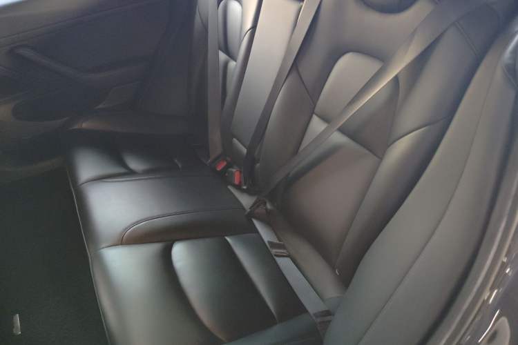 Used Tesla Model 3 2020 Revised Version Standard Range Rear-Wheel Drive – Upgraded Edition