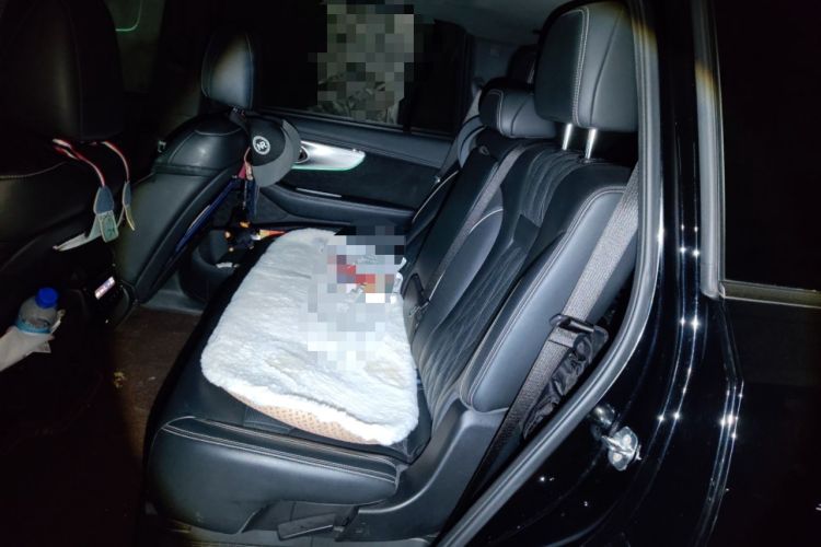 Used GAC Trumpchi GS8 2022 Dual-Engine Series 2.0TM Two-Wheel Drive Prestige Edition (7 Seats)
