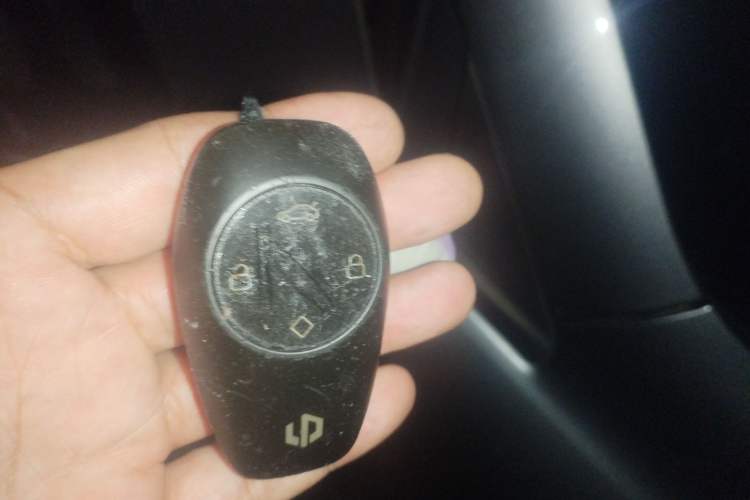 Used Leapmotor T03 2020 400 Luxury Edition