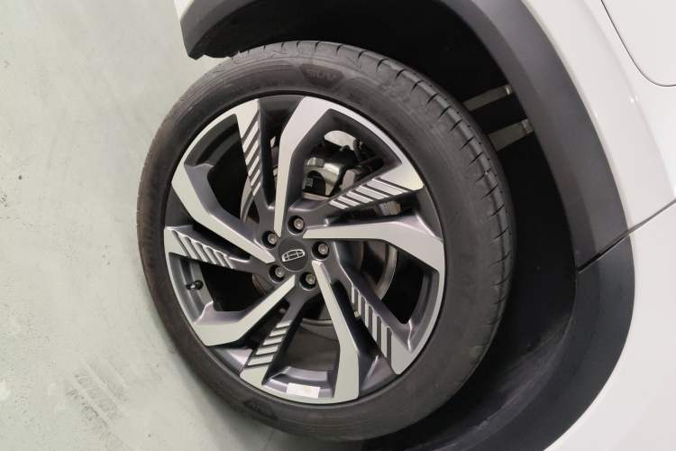 Used Geely Auto Monjaro L 2024 2.0TD High-Power Automatic Two-Wheel Drive Skyline Edition
