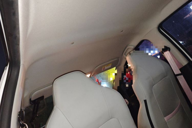 Used SOL E10X 2022 Flower Fairy Design Four-Leaf Clover Headliner