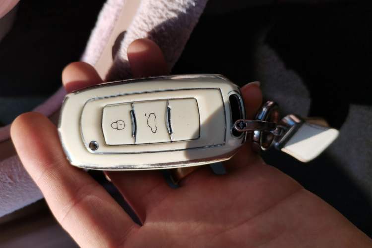 Used Geely Galaxy Panda 2023 Panda Mini 200km Endurance Bear
