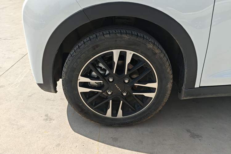 Used Chery Little Ant 2024 251km True Love Edition