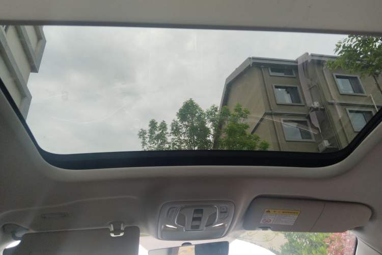 Used Roewe RX5 MAX 2022 1.5T Automatic Youwei Luxury Edition Headliner