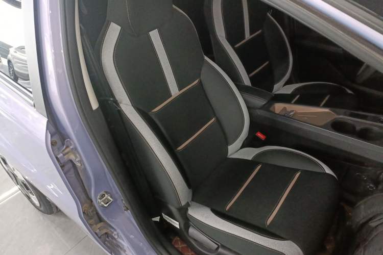 Used JAC Yiwei E10X 2024 Charming Edition 301km Lite