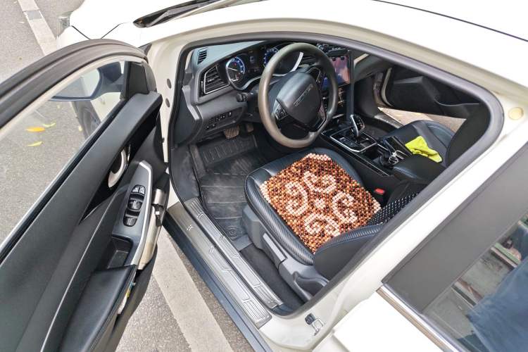 Used Venucia D60EV 2022 Standard Range Smart Drive Version Driver Seat