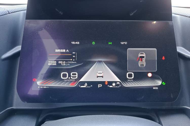 Used Haval DARGO 2024 2.0T DCT Chinese Rural Dog Edition