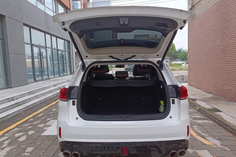 Used Wey VV6 2021 2.0T Two-Wheel Drive Smart Protection+