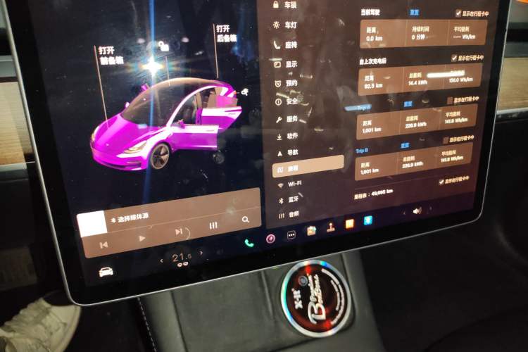 Used Tesla Model 3 2021 Revised Version Standard Range Rear-Wheel Drive Upgraded Edition 3D1