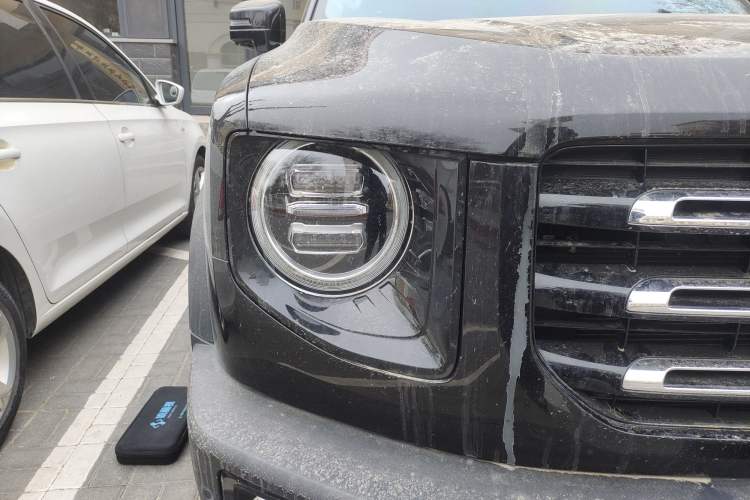 Used Haval DARGO 2021 2.0T DCT 4x4 Chinese Rural Dog Edition
