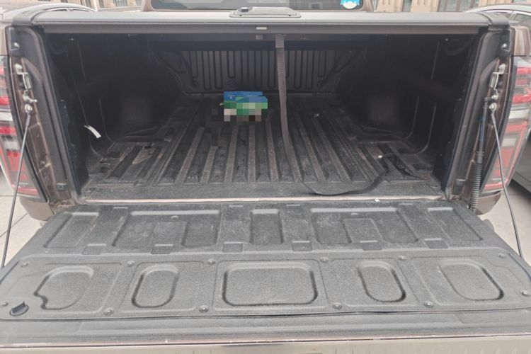 Used Great Wall Poer 2019 2.0T Automatic Gasoline Two-Wheel Drive Comfort Edition GW4C20B