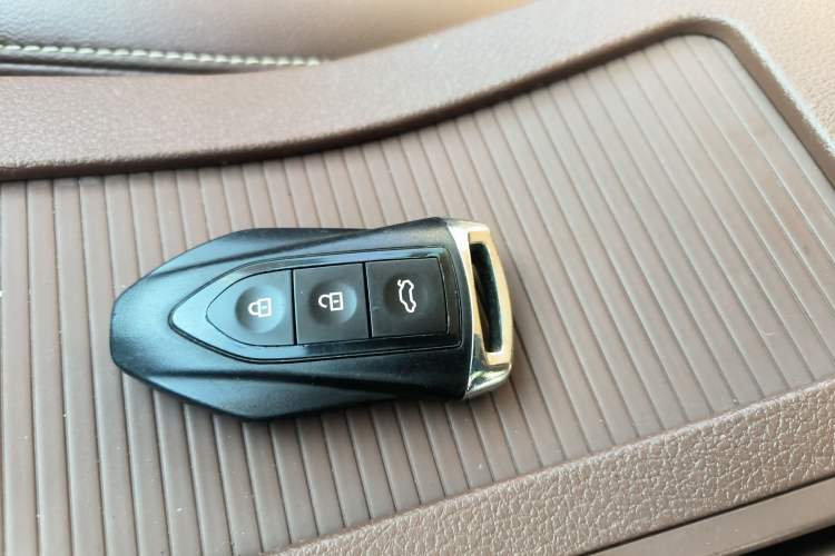 Used Leopaard CS10 2017 2.0T Automatic Urban Version
