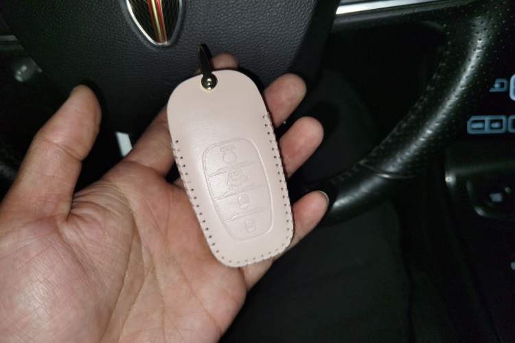 Used Hongqi H5 2020 1.5T DCT Flagship Edition
