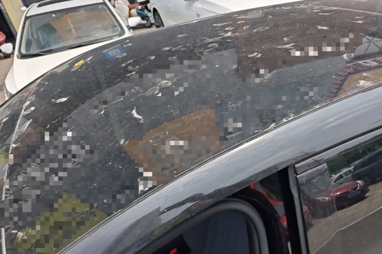 Used BYD Seal 06GT 2025 Intelligent Driving Version 505 Wave Edition Roof