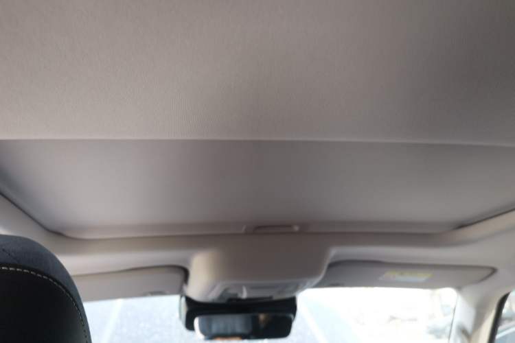 Used Tank 300 2024 2.0T Crosser
