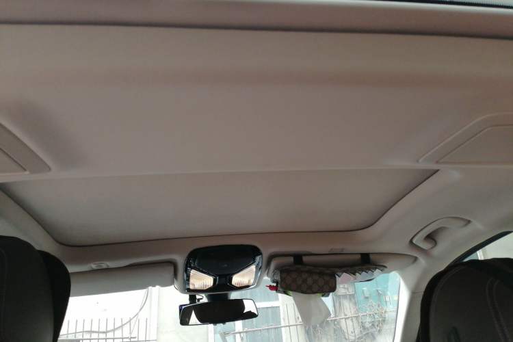 Used BMW 5 Series 2018 530Li Leading Edition Luxury Package Headliner