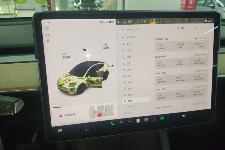 Used Tesla Model Y 2021 Standard Range Rear-Wheel Drive Version
