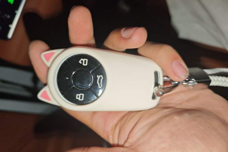 Used ORA Lightning Cat 2022 555 km Luxury Edition