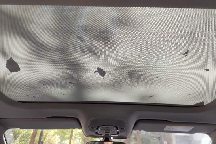 Used Audi A5 2019 Sportback 45 TFSI Fashion Model Headliner