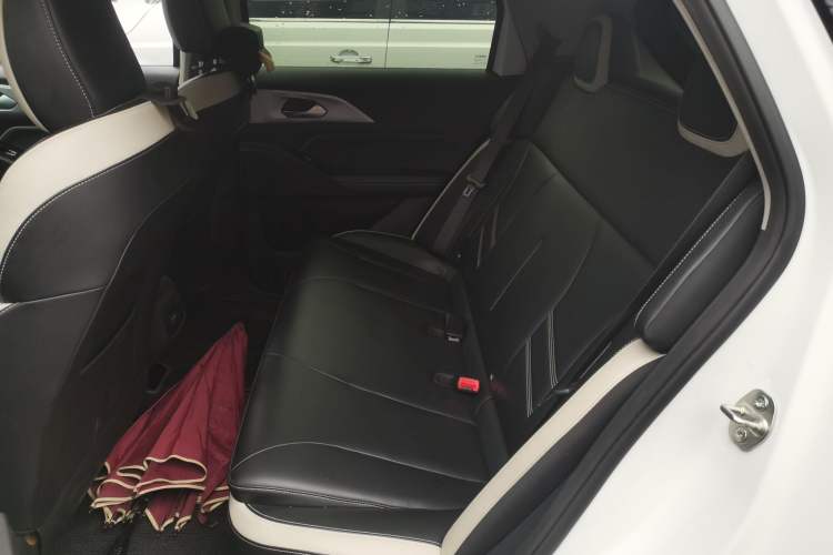 Used Geometry E Firefly 2022 401KM Lightning Tiger 4-Seater